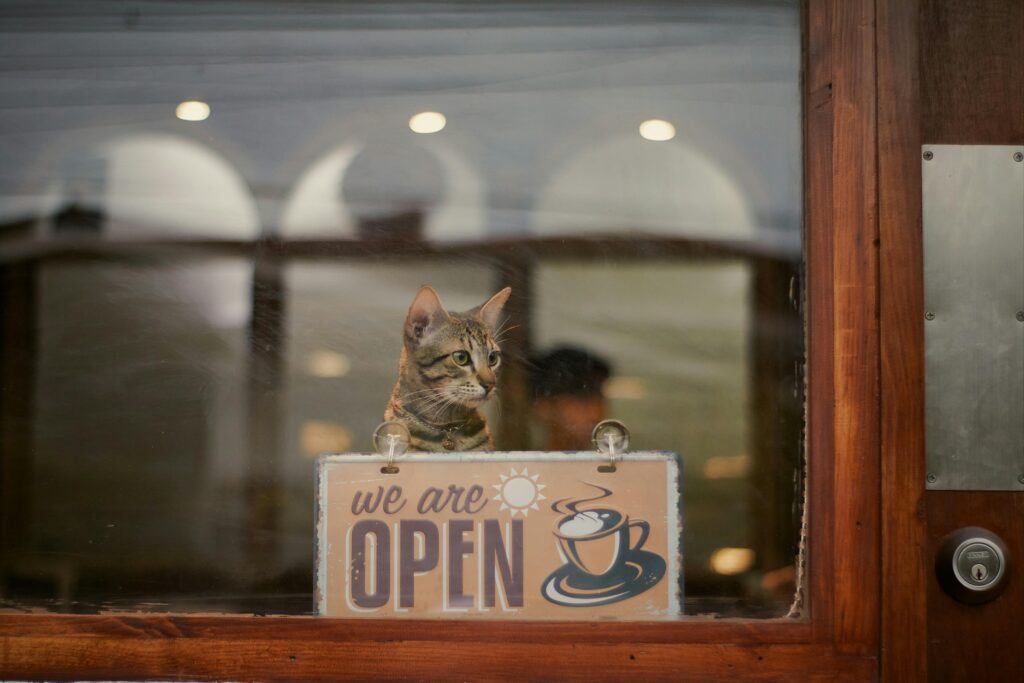 Pet-friendly cafes and parks in Delhi-NCR