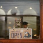 Pet-friendly cafes and parks in Delhi-NCR
