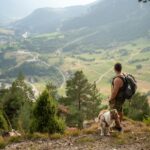 searching for pet-friendly hotels in Mussoorie