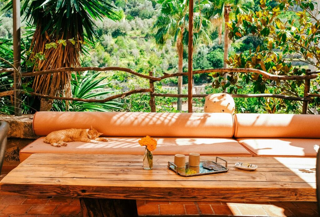 Are There Pet-Friendly Hotels in Haridwar? (What to Expect Before Booking)