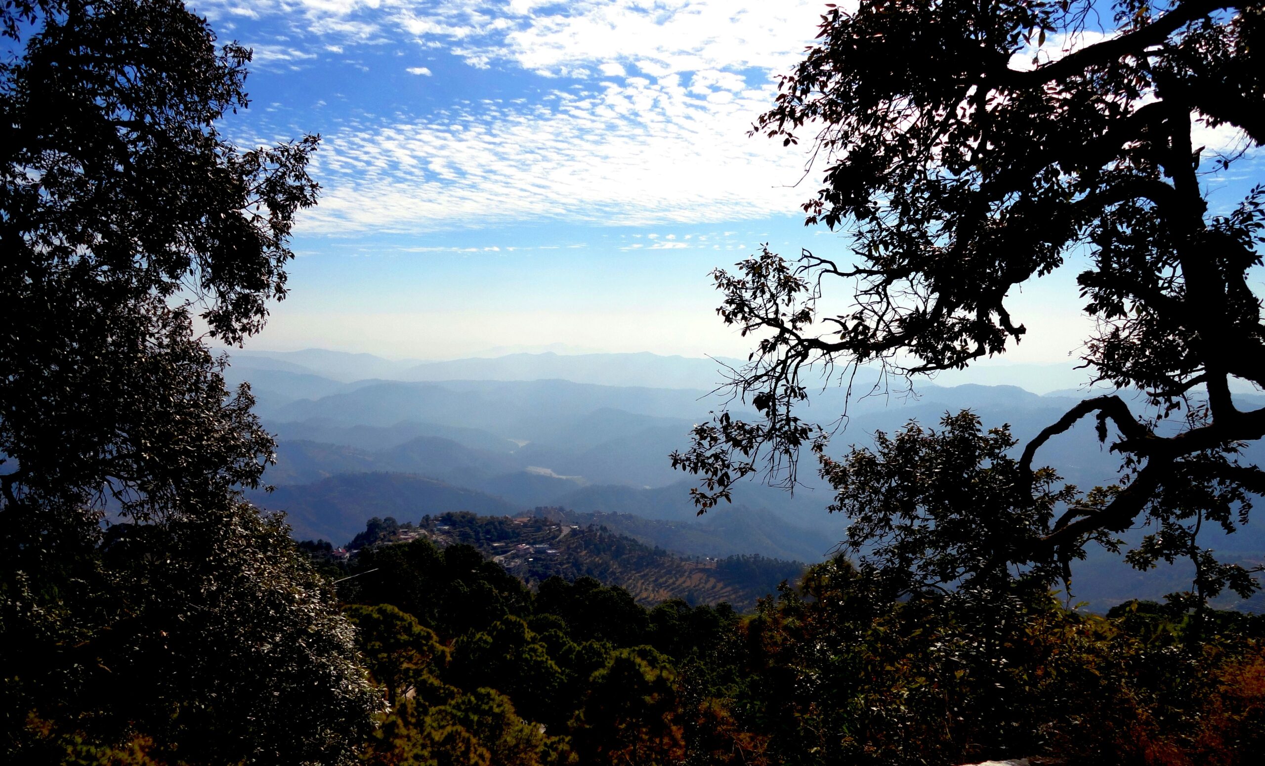 7 Quiet Pet-Friendly Hill Stations Near Delhi for Longer Summer Stays